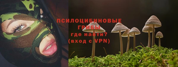 эйфоретик Алексеевка