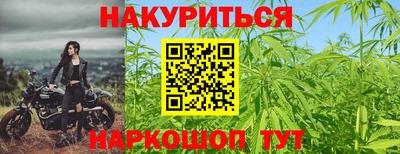 сатива Краснознаменск
