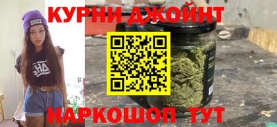 сатива Краснознаменск