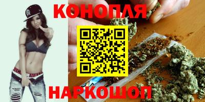 сатива Краснознаменск