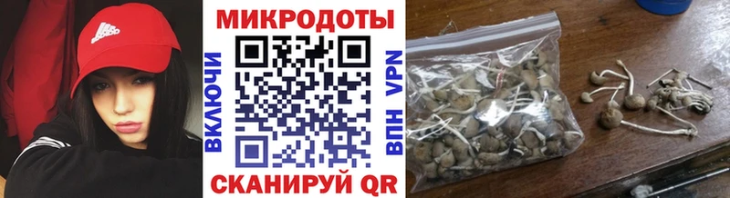 Галлюциногенные грибы Psilocybe  наркошоп  Камышин 