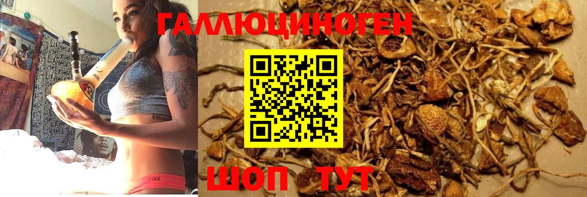 Камышин  Галлюциногенные грибы MAGIC MUSHROOMS  Вход с VPN 