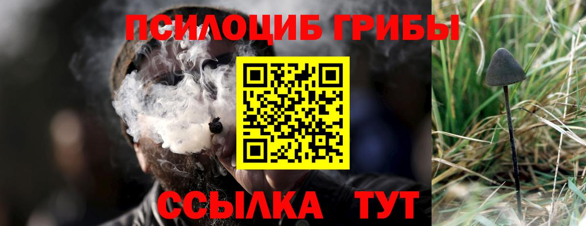 Галлюциногенные грибы прущие грибы Камышин